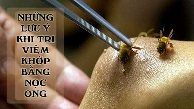 Dầu Nọc Ong Singapore Có Tác Dụng Gì
