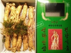Cây Sâm Hàn Quốc Có Mấy Loại