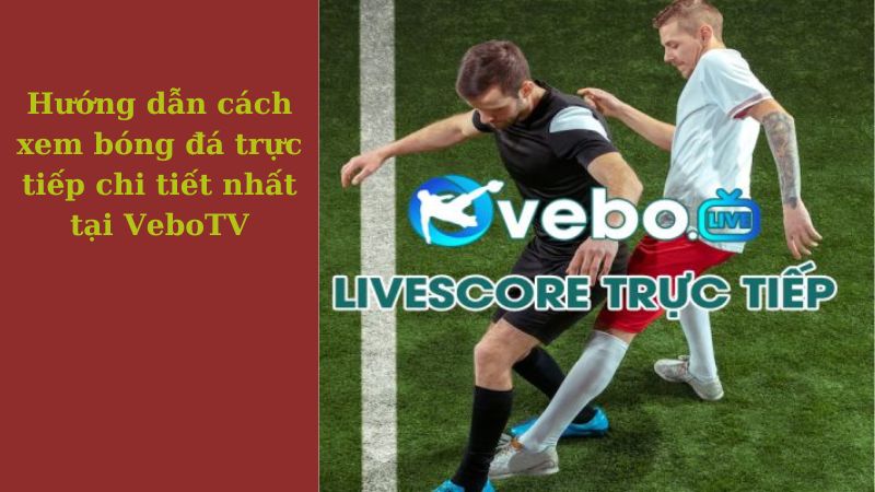 Hướng dẫn cách xem bóng đá trực tiếp chi tiết nhất tại VeboTV